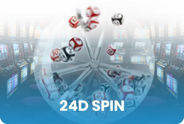 24Dspin